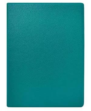 eBookReader Onyx BOOX Go 6 cover grøn